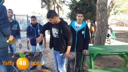 tomashen lud 0101 (21).JPG